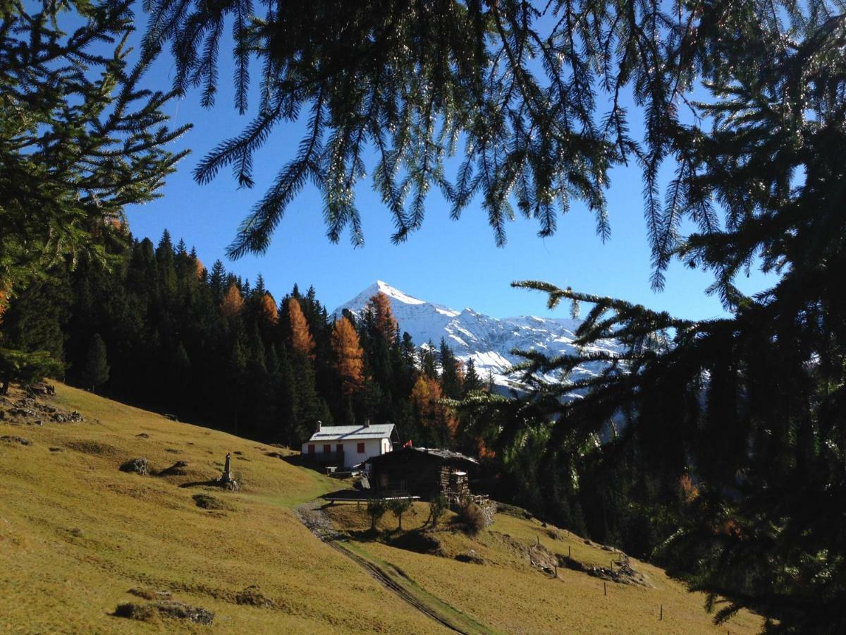 ואלדיסוטו Chalet Del Bosco מראה חיצוני תמונה